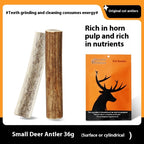 Bite Resistant And Teeth Cleaning Pet Snacks Pawsentialshub