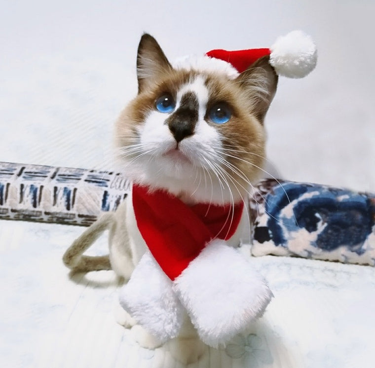 Pet supplies Christmas hat scarf set cat and dog small pet - Pawsentialshub