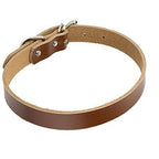 Luxury Leather Dog Collar - Stylish And Durable Pet Chain-3