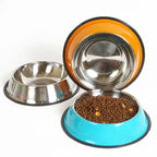 pet bowl pet feeding basin - Pawsentialshub