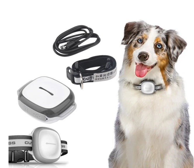 Collared Cat Dog Tracker Pet Locator Pet My Store