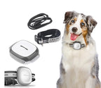 Collared Cat Dog Tracker Pet Locator Pet My Store