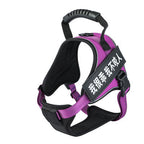 Pet Harness - Pawsentialshub