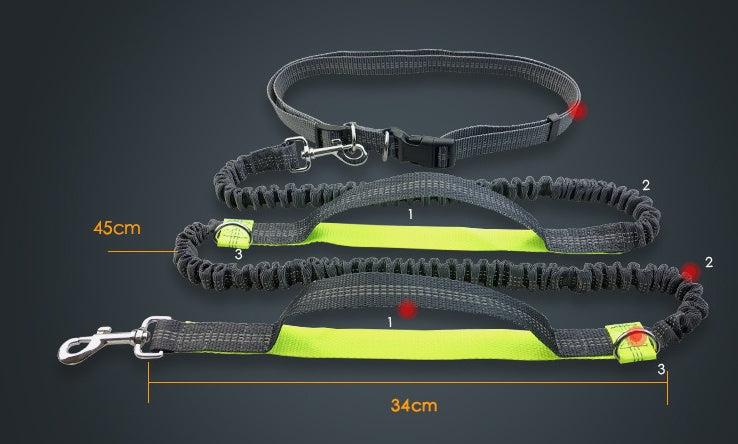 Amazon direct pet supplies multi-function running reflective pull dog leash double elastic dog leash traction Pawsentianshub