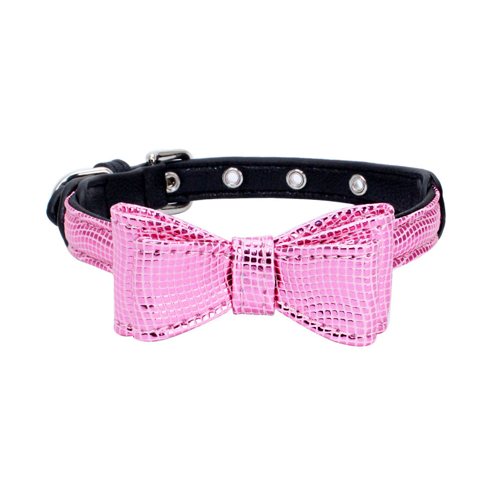 Pet collar - Pawsentialshub