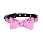 Pet collar - Pawsentialshub