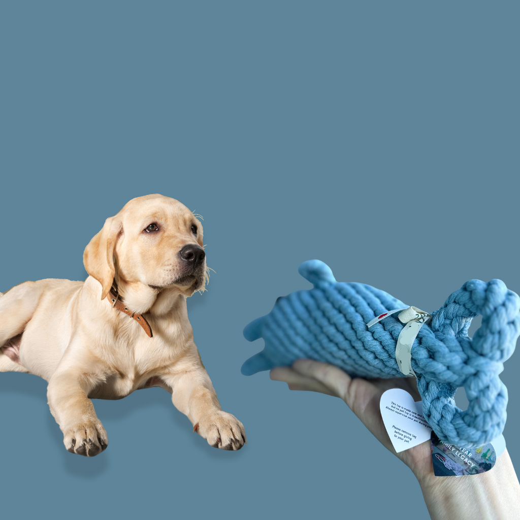 The dolphin dog toy-2