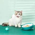 Replaceable Eco-Friendly Cat And Dog Food Bowl Set - The Freshfeed-0