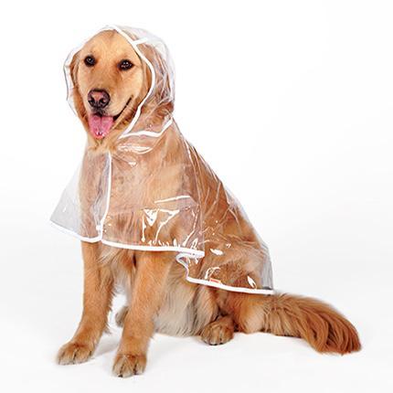 Waterproof Raincoat for Medium- sized Dogs - Pawsentialshub