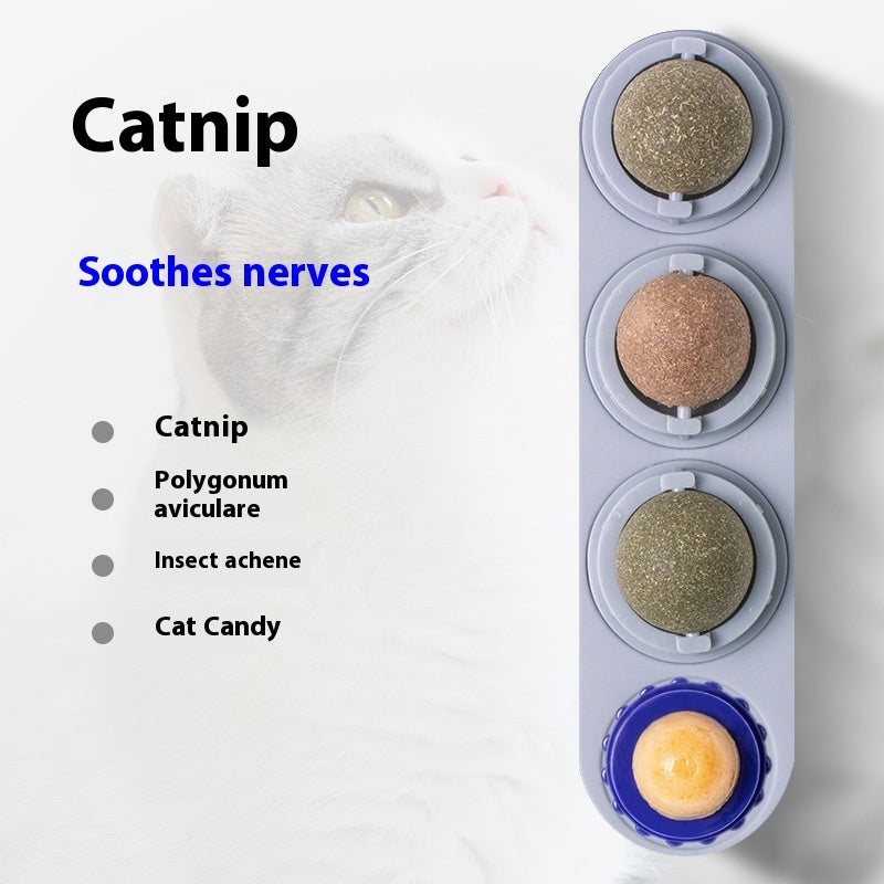 Cat Toy Snacks Molar Long Lasting Pet Supplies Pawsentialshub