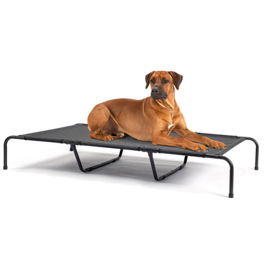 Pet Beds - Pawsentialshub