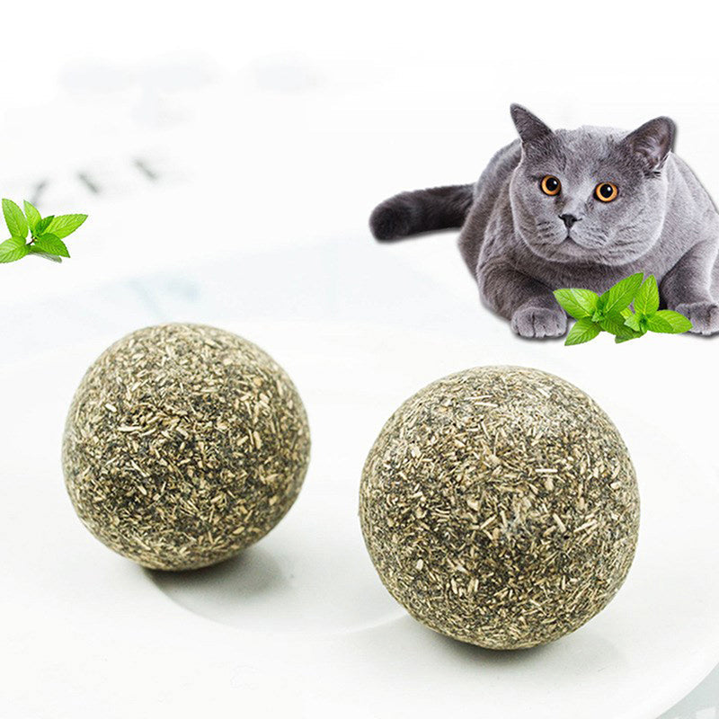 Pet Teeth Teeth Cleansing Food Cat Snacks Pawsentialshub