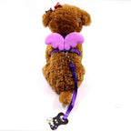 Little Angel Wings Pet Leash-6