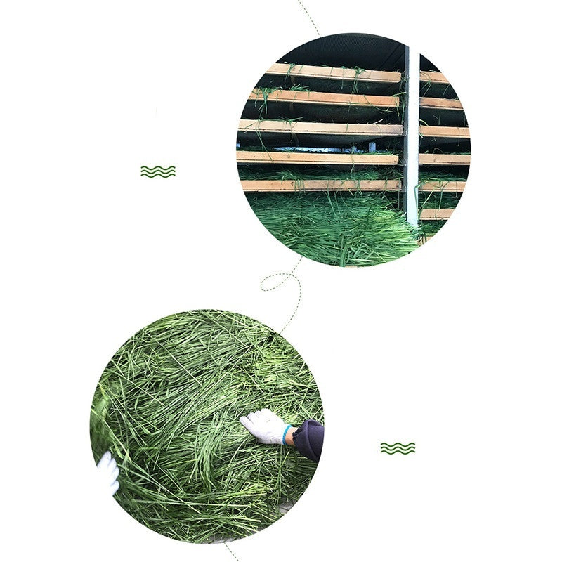 Dried Timothy FCL Hay Snacks Feed Chinchilla Guinea Pig Food Rabbits Pet Products Pawsentialshub