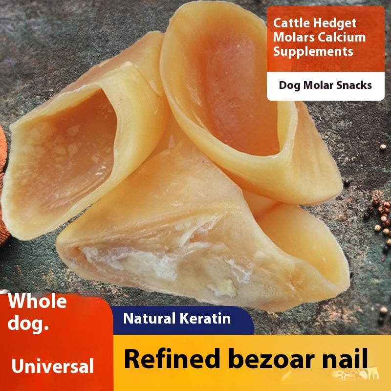 Anti Bite Pet Dog Snacks Grinding Rod Pawsentialshub