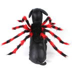 Pet Cat Dog Halloween Creative Spider Costume Pawsentialshub
