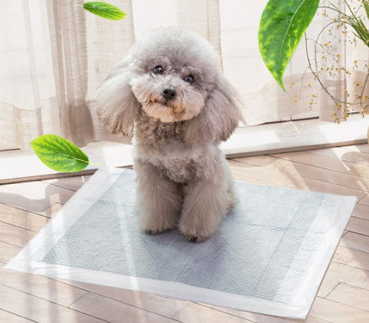 Pet diapers - Pawsentialshub