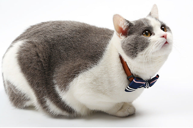 Pet tie - Pawsentialshub