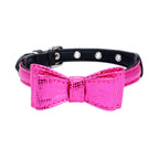Pet collar - Pawsentialshub