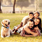 Anti Bark Collar Stop Dog Barking Sound Vibration S-M-L Adjustable Rechargeable Pawsentialshub