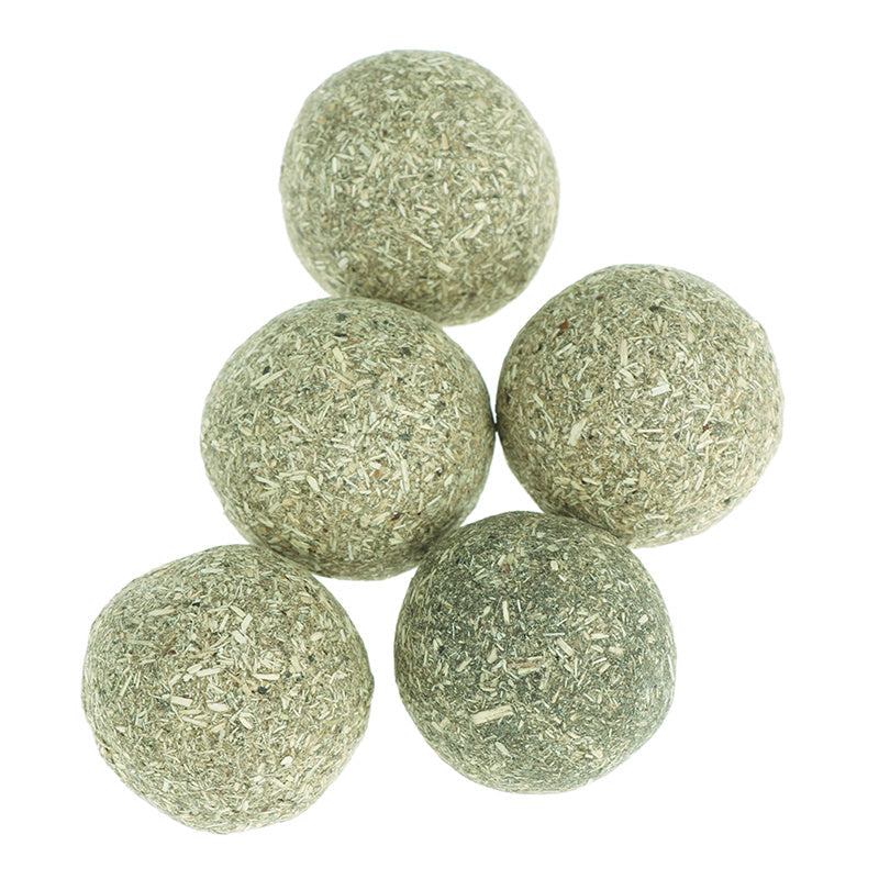 Pet Teeth Teeth Cleansing Food Cat Snacks Pawsentialshub