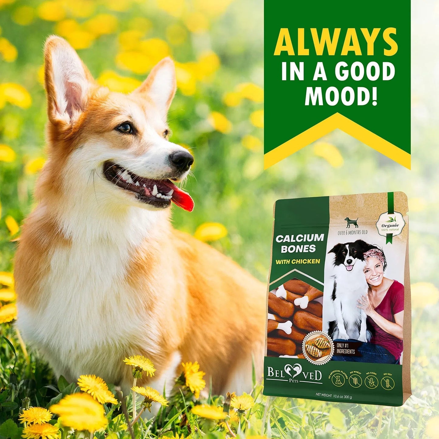 Dog Calcium Bones Wrapped Chicken & Rawhide Free Chew Treats Pet Healthy Dried Snacks Grain Free Organic Meat Chews For Training Small Large Dogs Pawsentialshub