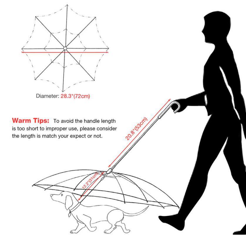 Dog's Transparent Umbrella With Traction Chain Removable Umbrella Pet Products - Pawsentialshub