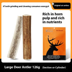 Bite Resistant And Teeth Cleaning Pet Snacks Pawsentialshub