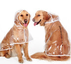 Waterproof Raincoat for Medium- sized Dogs - Pawsentialshub