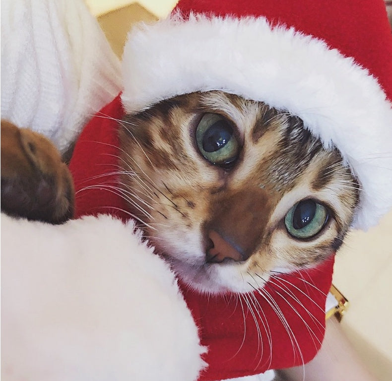 Pet supplies Christmas hat scarf set cat and dog small pet - Pawsentialshub