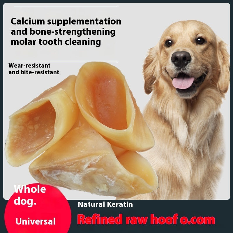 Anti Bite Pet Dog Snacks Grinding Rod Pawsentialshub