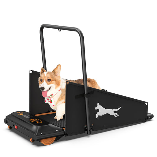 Dog Treadmill Small Dogs - Dog Treadmill For Medium Dogs - Dog Pacer Treadmill For Healthy & Fit Pets - Dog Treadmill Run Walk Pawsentialshub