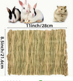 Pet Cushion - Pawsentialshub