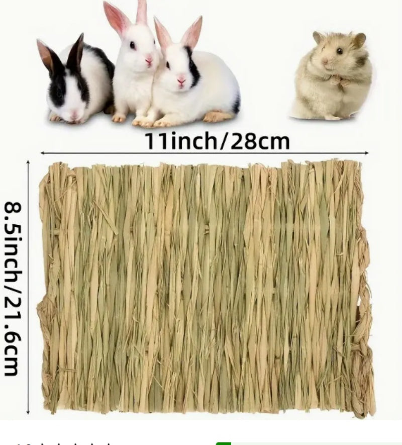 Pet Cushion - Pawsentialshub