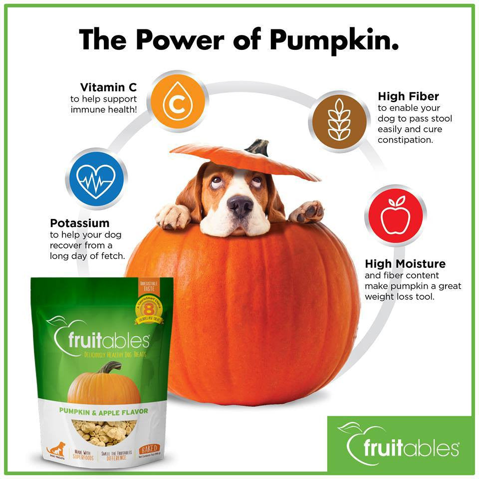 FRTABLE PMPKN BRY DG TRT ( 12 X 5 OZ   )-6