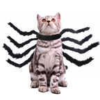 Pet Cat Dog Halloween Creative Spider Costume Pawsentialshub