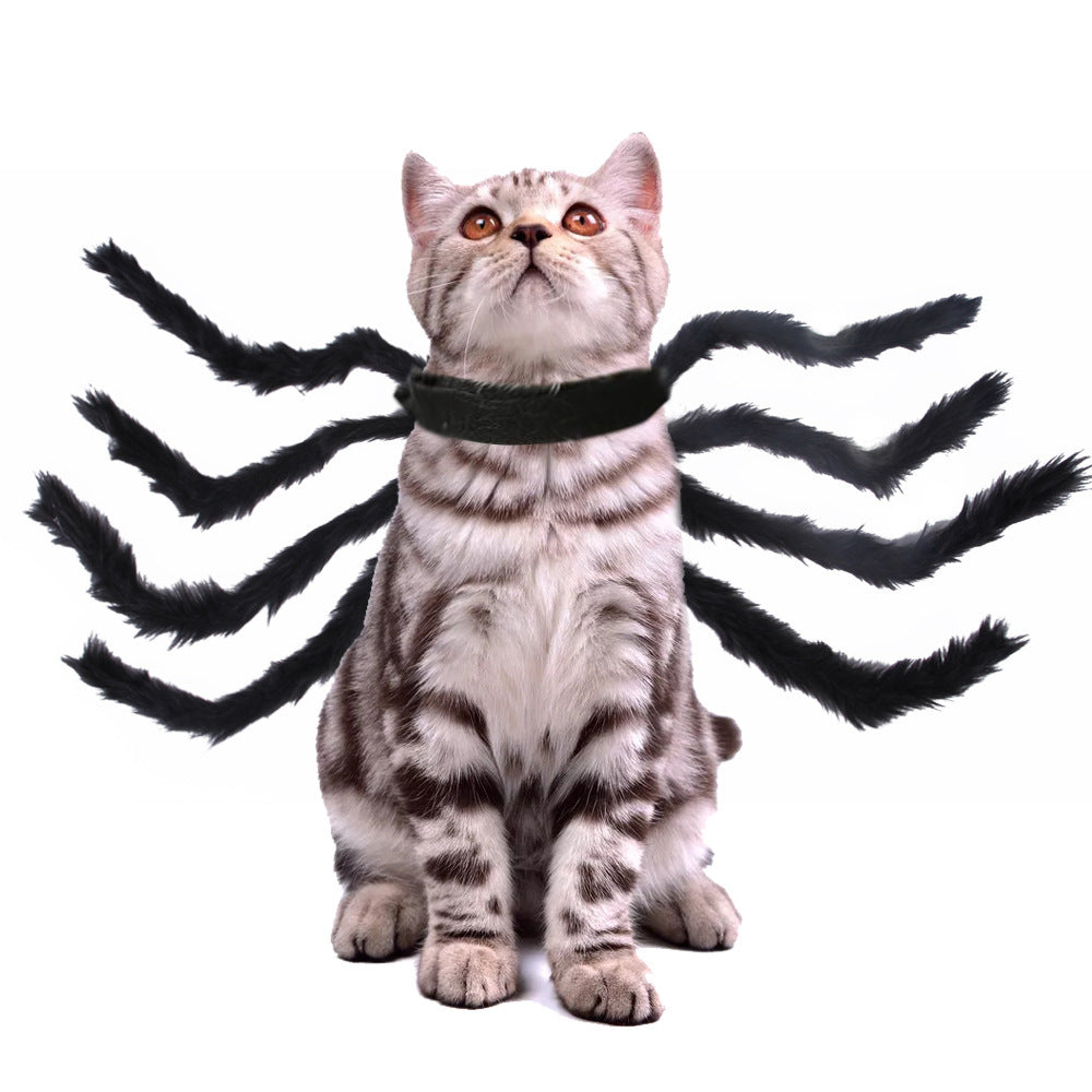 Pet Cat Dog Halloween Creative Spider Costume Pawsentialshub