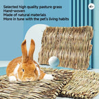 Pet Cushion - Pawsentialshub