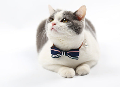 Pet tie - Pawsentialshub