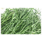 Dried Timothy FCL Hay Snacks Feed Chinchilla Guinea Pig Food Rabbits Pet Products Pawsentialshub