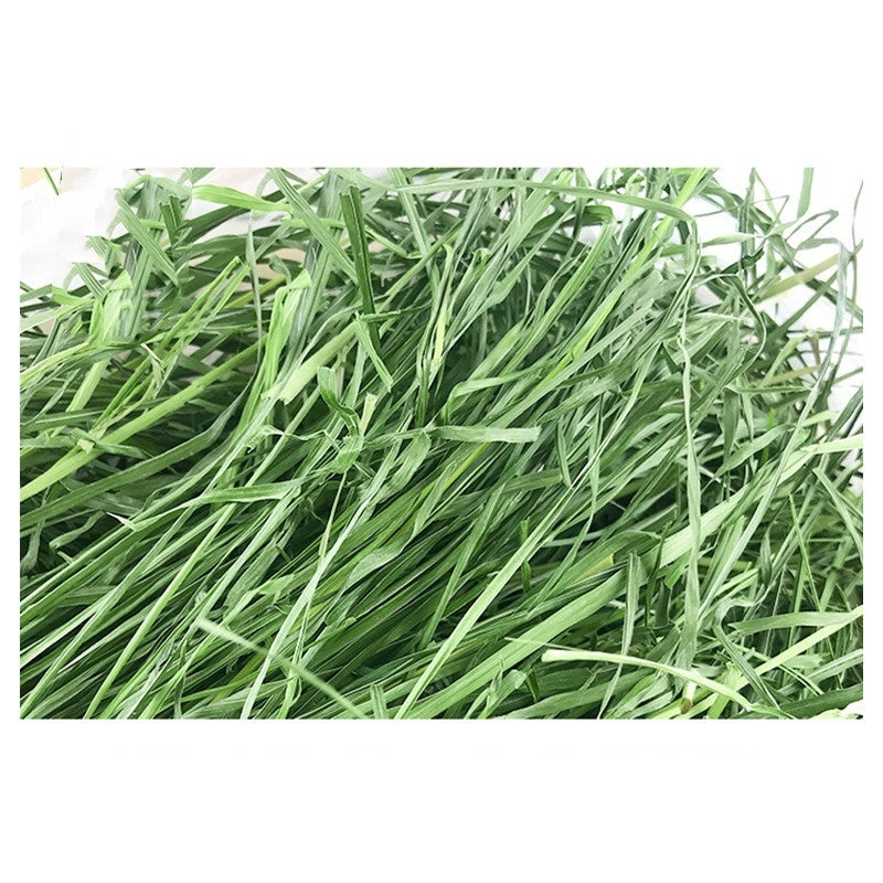 Dried Timothy FCL Hay Snacks Feed Chinchilla Guinea Pig Food Rabbits Pet Products Pawsentialshub