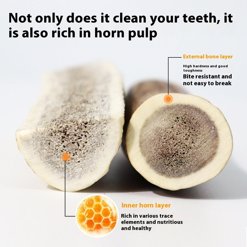 Bite Resistant And Teeth Cleaning Pet Snacks Pawsentialshub