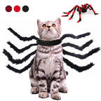 Pet Cat Dog Halloween Creative Spider Costume Pawsentialshub