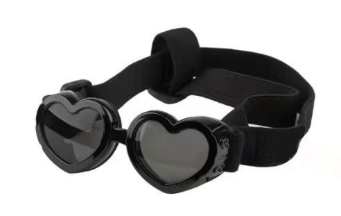 Pet Glasses Windproof Eye Protection Accessories Pawsentialshub