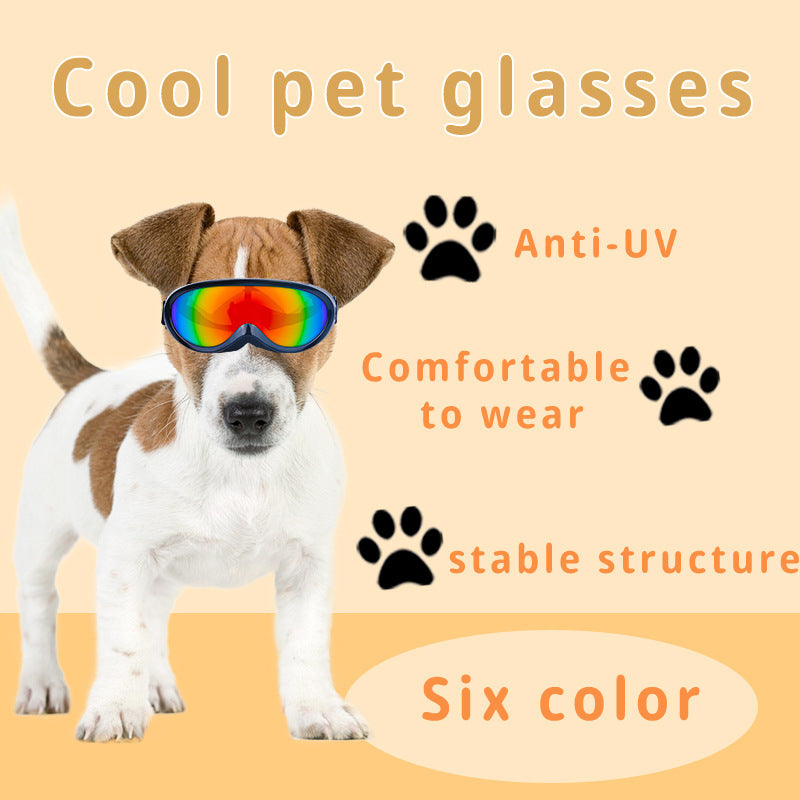 Cat Windproof Glasses Outdoor Pet Cool Sunglasses - Pawsentialshub