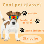 Cat Windproof Glasses Outdoor Pet Cool Sunglasses - Pawsentialshub