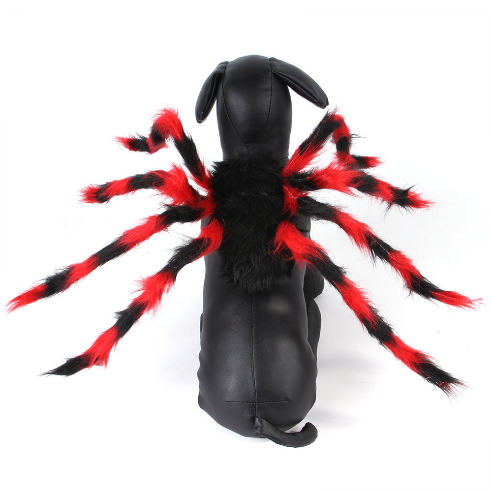 Pet Cat Dog Halloween Creative Spider Costume Pawsentialshub