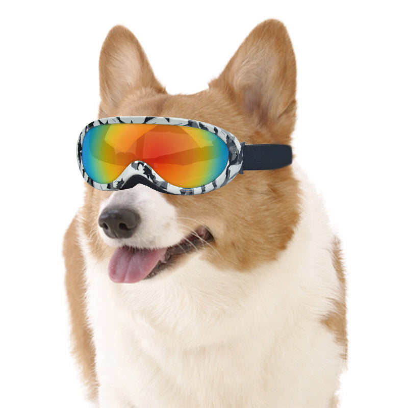 Cat Windproof Glasses Outdoor Pet Cool Sunglasses - Pawsentialshub