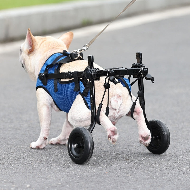 Pet Disabled Dog Wheelchair Scooter My Store