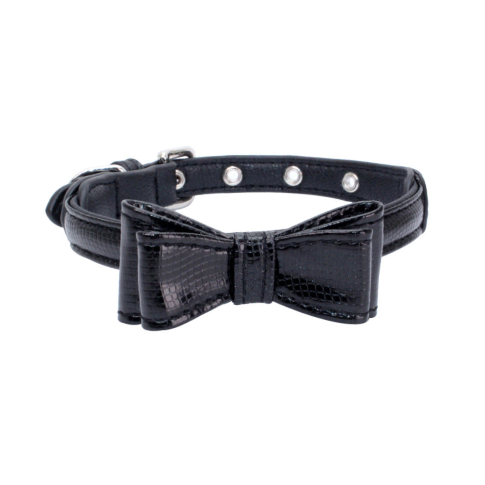Pet collar - Pawsentialshub